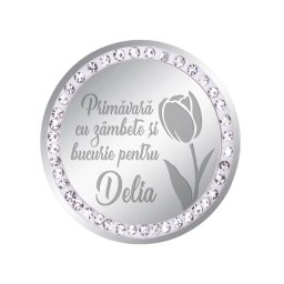 Martisor Brosa Inox Banut Pietre Nume Delia Argintiu