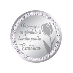 Martisor Brosa Inox Banut Pietre Nume Ecaterina Argintiu