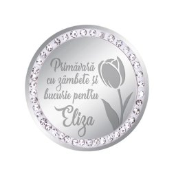 Martisor Brosa Inox Banut Pietre Nume Eliza Argintiu