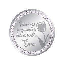 Martisor Brosa Inox Banut Pietre Nume Ema Argintiu