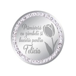 Martisor Brosa Inox Banut Pietre Nume Felicia Argintiu