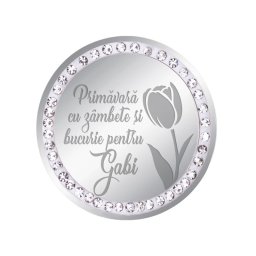 Martisor Brosa Inox Banut Pietre Nume Gabi Argintiu