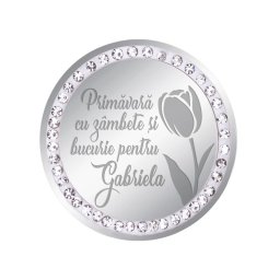 Martisor Brosa Inox Banut Pietre Nume Gabriela Argintiu