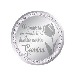 Martisor Brosa Inox Banut Pietre Nume Geanina Argintiu