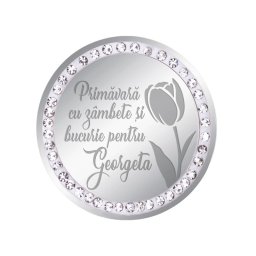 Martisor Brosa Inox Banut Pietre Nume Georgeta Argintiu