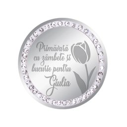 Martisor Brosa Inox Banut Pietre Nume Giulia Argintiu