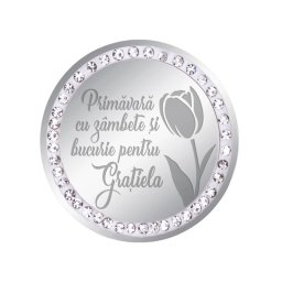 Martisor Brosa Inox Banut Pietre Nume Gratiela Argintiu