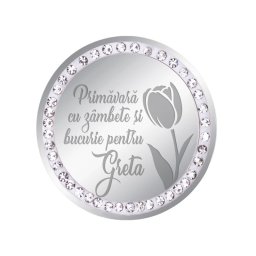 Martisor Brosa Inox Banut Pietre Nume Greta Argintiu