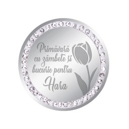 Martisor Brosa Inox Banut Pietre Nume Hara Argintiu