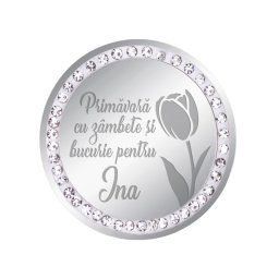 Martisor Brosa Inox Banut Pietre Nume Ina Argintiu