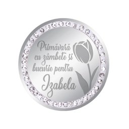 Martisor Brosa Inox Banut Pietre Nume Izabela Argintiu