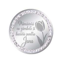 Martisor Brosa Inox Banut Pietre Nume Jana Argintiu