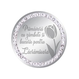 Martisor Brosa Inox Banut Pietre Nume Lacramioara Argintiu