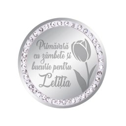 Martisor Brosa Inox Banut Pietre Nume Letitia Argintiu