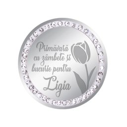 Martisor Brosa Inox Banut Pietre Nume Ligia Argintiu
