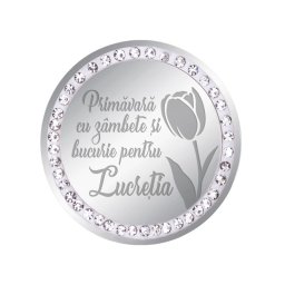 Martisor Brosa Inox Banut Pietre Nume Lucretia Argintiu