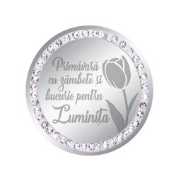 Martisor Brosa Inox Banut Pietre Nume Luminita Argintiu