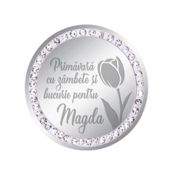 Martisor Brosa Inox Banut Pietre Nume Magda Argintiu