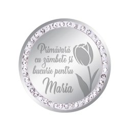Martisor Brosa Inox Banut Pietre Nume Maria Argintiu