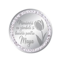 Martisor Brosa Inox Banut Pietre Nume Maya Argintiu