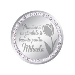 Martisor Brosa Inox Banut Pietre Nume Mihaela Argintiu
