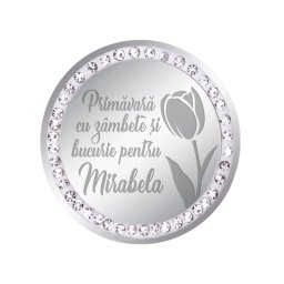 Martisor Brosa Inox Banut Pietre Nume Mirabela Argintiu