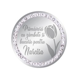 Martisor Brosa Inox Banut Pietre Nume Narcisa Argintiu