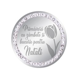 Martisor Brosa Inox Banut Pietre Nume Natali Argintiu