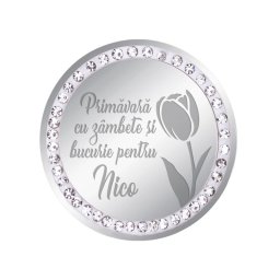 Martisor Brosa Inox Banut Pietre Nume Nico Argintiu