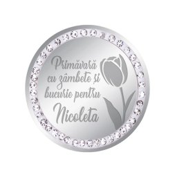 Martisor Brosa Inox Banut Pietre Nume Nicoleta Argintiu
