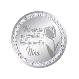 Martisor Brosa Inox Banut Pietre Nume Nina Argintiu