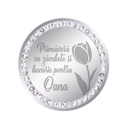 Martisor Brosa Inox Banut Pietre Nume Oana Argintiu
