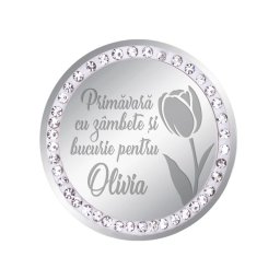 Martisor Brosa Inox Banut Pietre Nume Olivia Argintiu