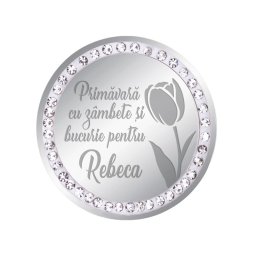 Martisor Brosa Inox Banut Pietre Nume Rebeca Argintiu