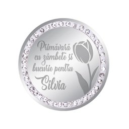 Martisor Brosa Inox Banut Pietre Nume Silvia Argintiu