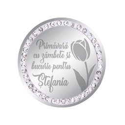 Martisor Brosa Inox Banut Pietre Nume Stefania Argintiu