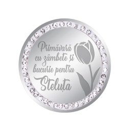 Martisor Brosa Inox Banut Pietre Nume Steluta Argintiu