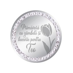 Martisor Brosa Inox Banut Pietre Nume Teo Argintiu