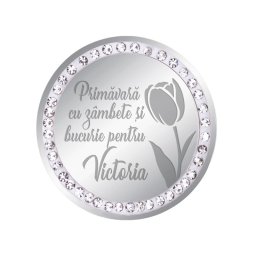 Martisor Brosa Inox Banut Pietre Nume Victoria Argintiu