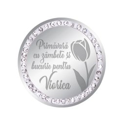 Martisor Brosa Inox Banut Pietre Nume Viorica Argintiu