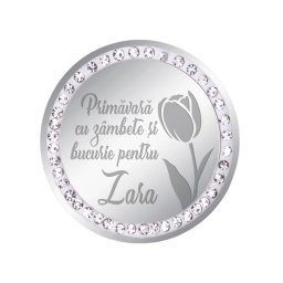 Martisor Brosa Inox Banut Pietre Nume Zara Argintiu