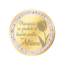 Martisor Brosa Inox Banut Pietre Nume Adriana Auriu