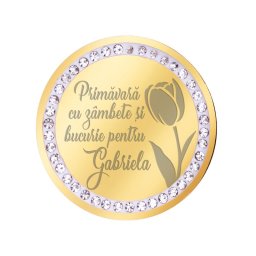 Martisor Brosa Inox Banut Pietre Nume Gabriela Auriu
