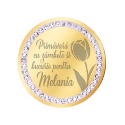 Martisor Brosa Inox Banut Pietre Nume Melania Auriu