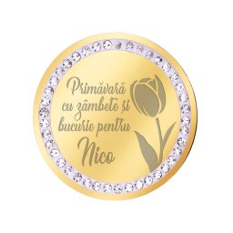 Martisor Brosa Inox Banut Pietre Nume Nico Auriu
