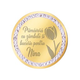 Martisor Brosa Inox Banut Pietre Nume Nina Auriu
