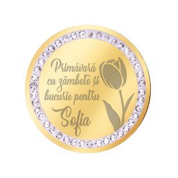 Martisor Brosa Inox Banut Pietre Nume Sofia Auriu