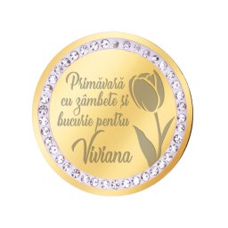 Martisor Brosa Inox Banut Pietre Nume Viviana Auriu