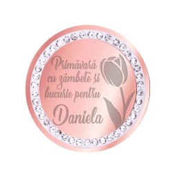 Martisor Brosa Inox Banut Pietre Nume Daniela Rose Gold