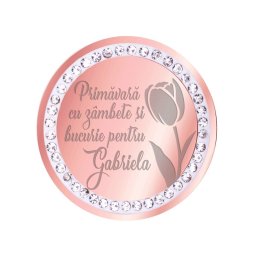 Martisor Brosa Inox Banut Pietre Nume Gabriela Rose Gold